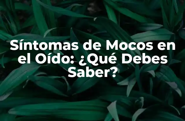 Síntomas de Mocos en el Oído: ¿qué Debes Saber?