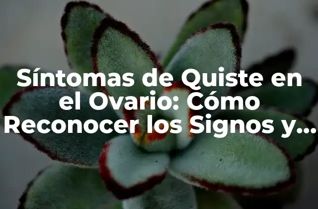 Síntomas de Quiste en el Ovario: Cómo Reconocer los Signos y Síntomas
