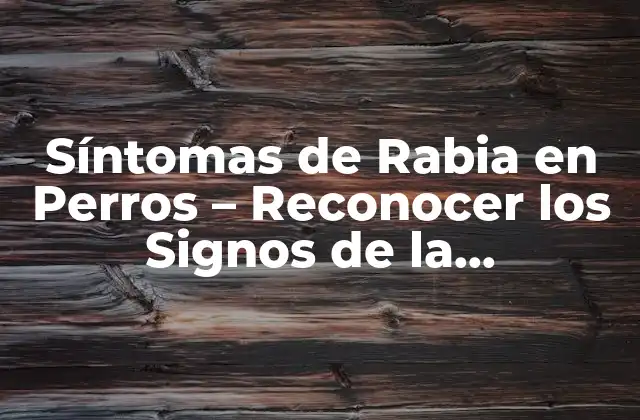 Síntomas de Rabia en Perros – Reconocer los Signos de la Enfermedad