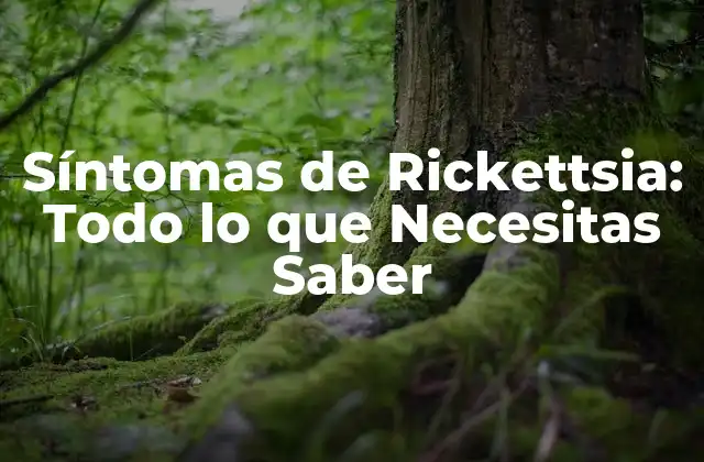 Síntomas de Rickettsia: Todo Lo que Necesitas Saber 2 Síntomas Iniciales de la Rickettsia