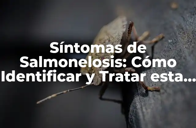 Síntomas de Salmonelosis: Cómo Identificar y Tratar Esta Enfermedad Bacteriana