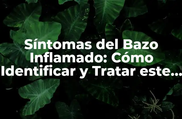 Síntomas Del Bazo Inflamado: Cómo Identificar y Tratar Este Problema de Salud