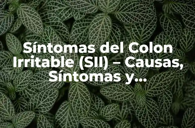 Síntomas Del Colon Irritable (sii) – Causas, Síntomas y Tratamientos