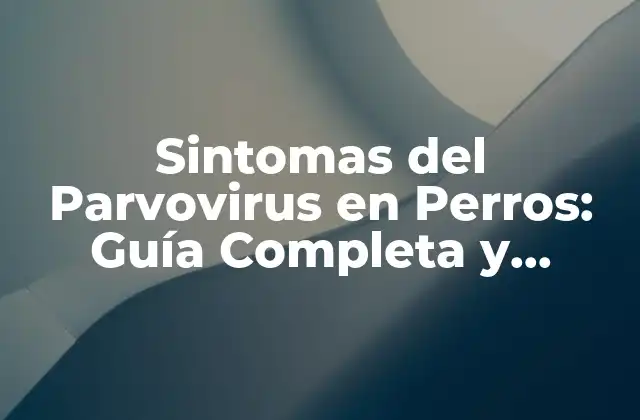 Sintomas Del Parvovirus en Perros: Guía Completa y Actualizada