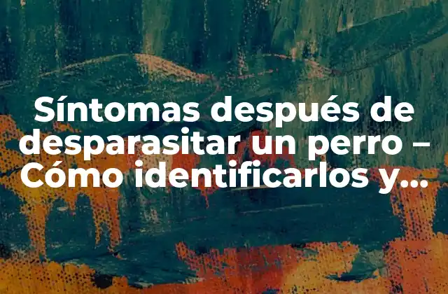 Síntomas Después de Desparasitar un Perro – Cómo Identificarlos y Tratarlos