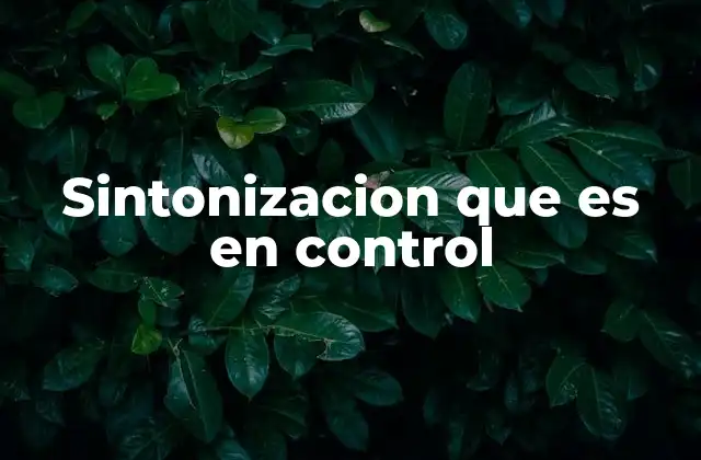 Sintonizacion que es en Control