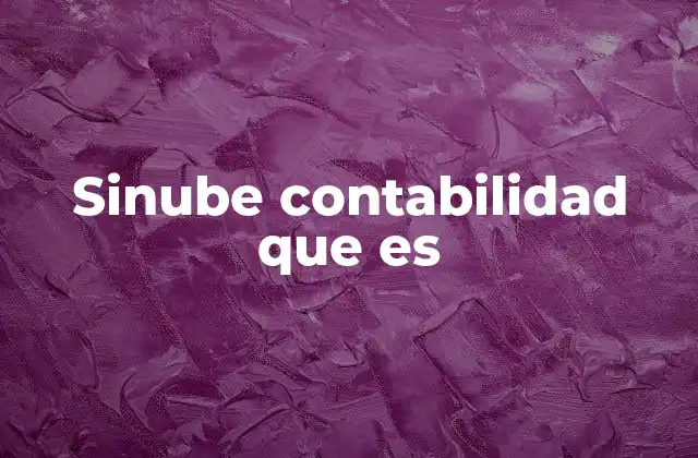 Sinube Contabilidad que es