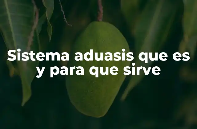 Sistema Aduasis que es y para que Sirve 2 La importancia de la digitalización en los procesos de importación
