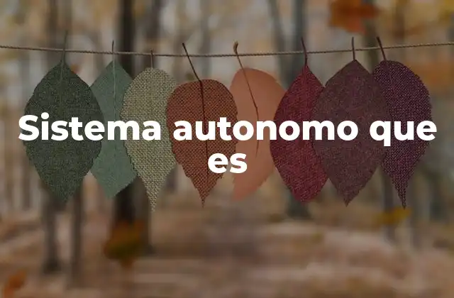 Sistema Autonomo que es