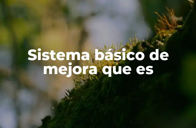 Sistema Básico de Mejora que es 2 La evolución del sistema básico de mejora en el entorno empresarial