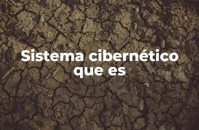 Sistema Cibernético que es