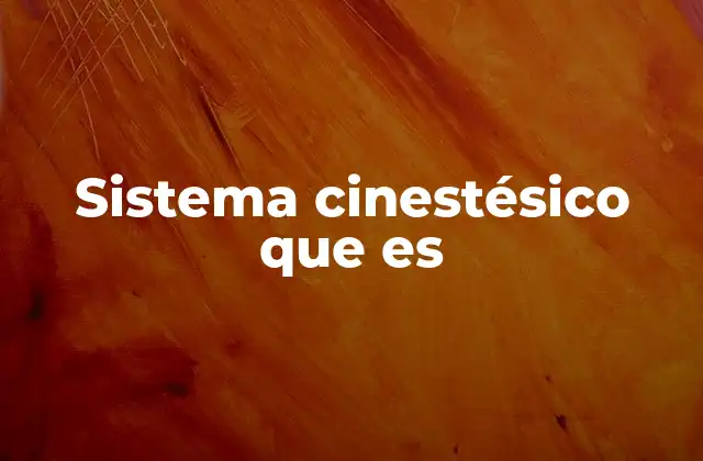 Sistema Cinestésico que es