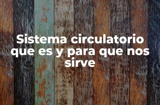 Sistema Circulatorio que es y para que Nos Sirve