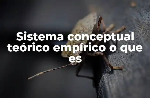 Sistema Conceptual Teórico Empírico o que es