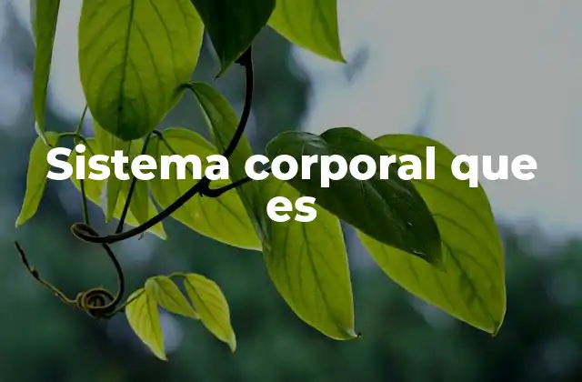 Sistema Corporal que es
