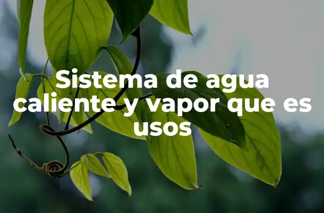Sistema de Agua Caliente y Vapor que es Usos