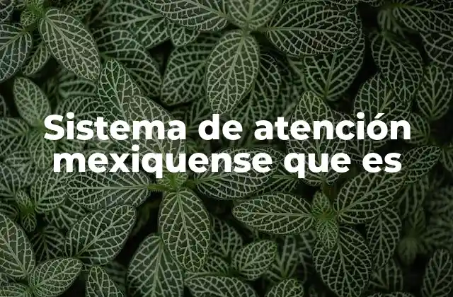 Sistema de Atención Mexiquense que es