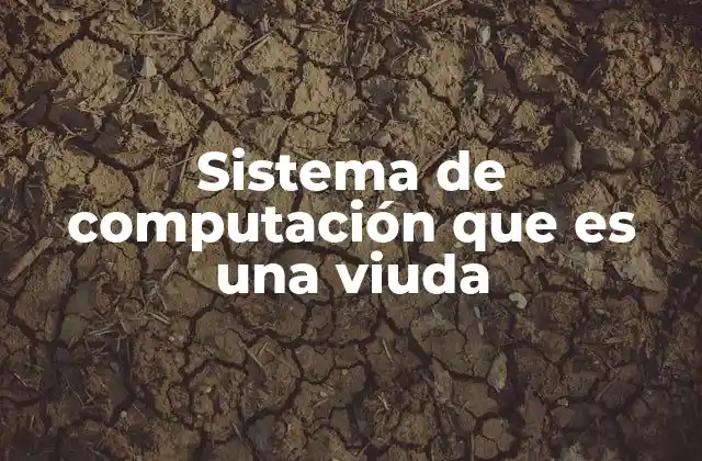 Sistema de Computación que es una Viuda