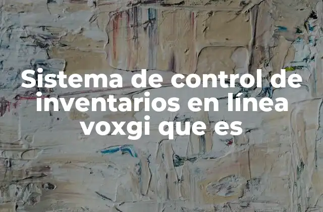 Sistema de Control de Inventarios en Línea Voxgi que es
