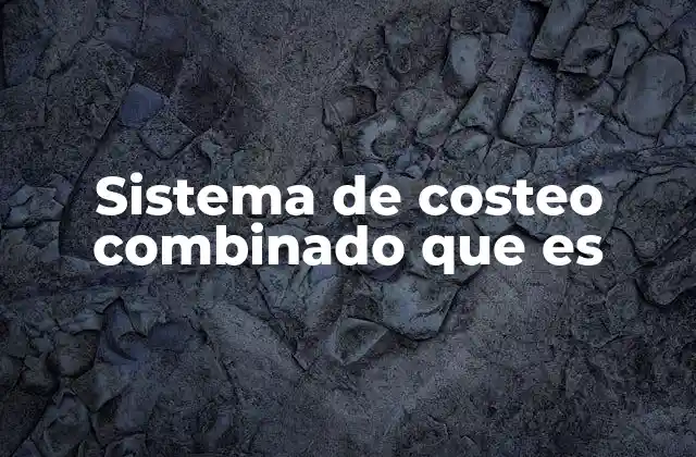 Sistema de Costeo Combinado que es