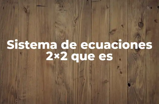 Sistema de Ecuaciones 2×2 que es