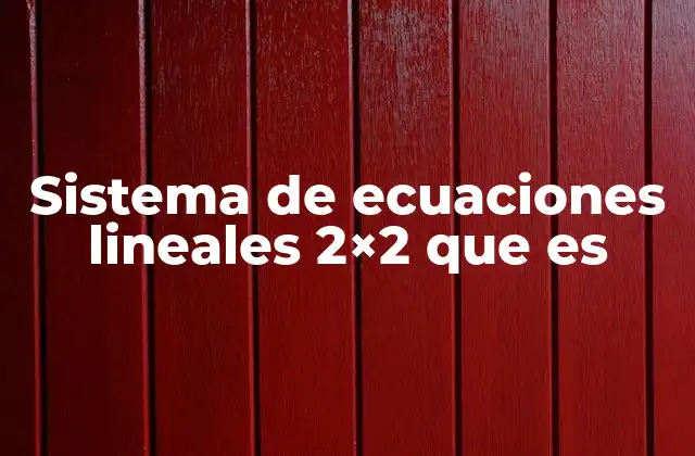 Sistema de Ecuaciones Lineales 2×2 que es