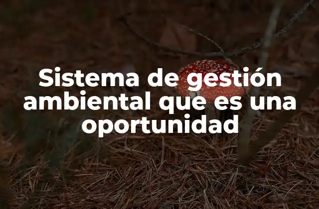 Sistema de Gestión Ambiental que es una Oportunidad