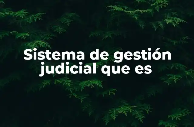Sistema de Gestión Judicial que es