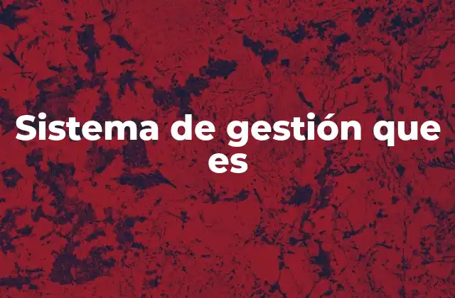 Sistema de Gestión que es