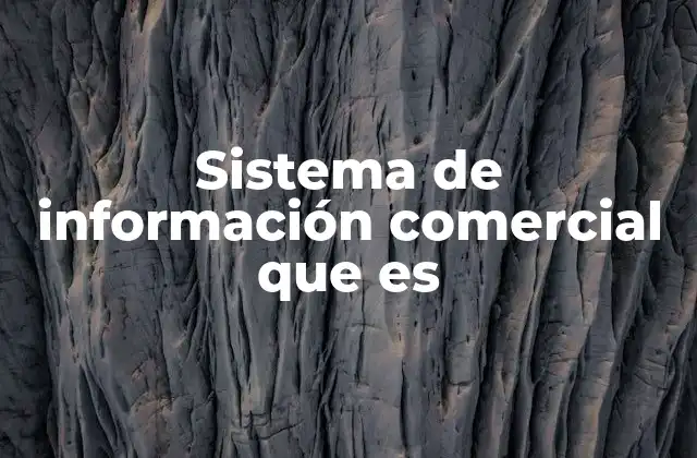 Sistema de Información Comercial que es