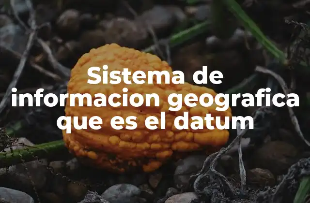Sistema de Informacion Geografica que es el Datum