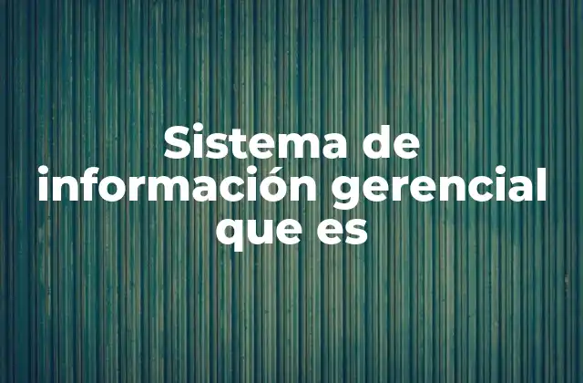 Sistema de Información Gerencial que es