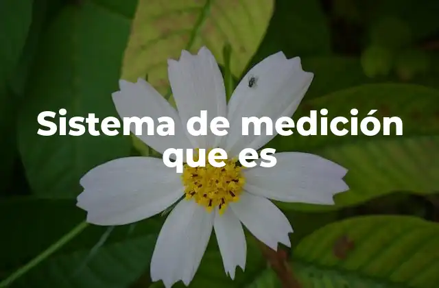 Sistema de Medición que es 2 Sistemas de medición y su importancia en la sociedad moderna