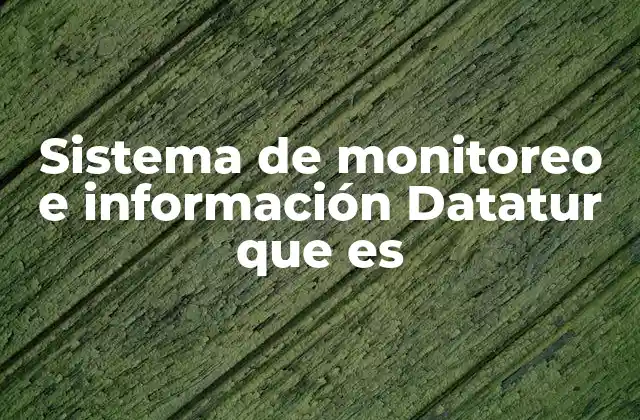 Sistema de Monitoreo e Información Datatur que es