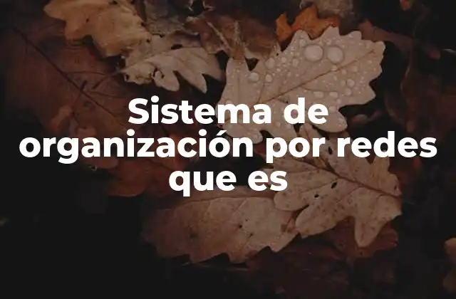 Sistema de Organización por Redes que es