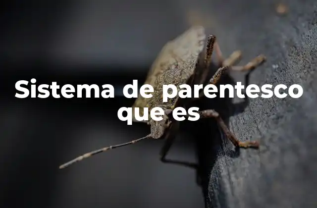 La importancia del sistema de parentesco en la organización social