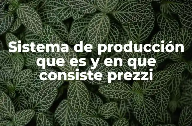 Sistema de Producción que es y en que Consiste Prezzi