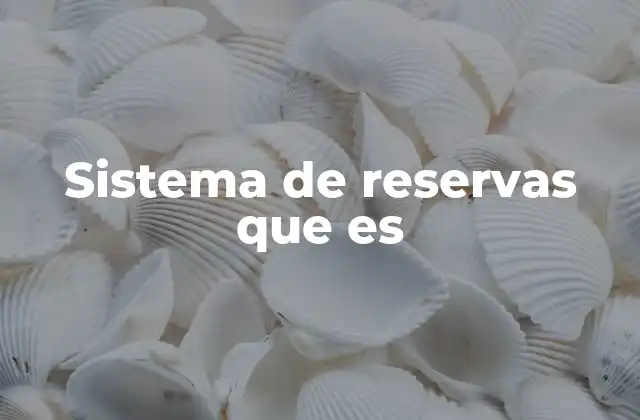 Sistema de Reservas que es