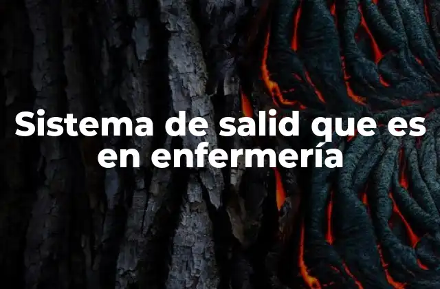 Sistema de Salid que es en Enfermería