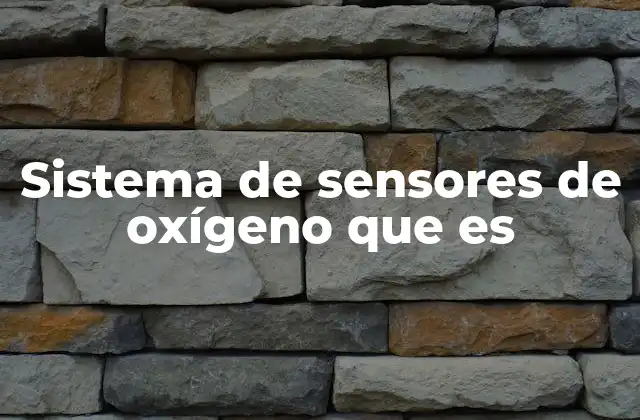 Sistema de Sensores de Oxígeno que es