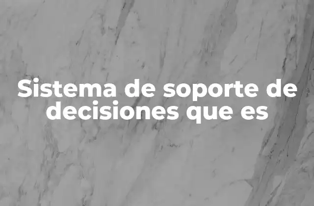 Sistema de Soporte de Decisiones que es