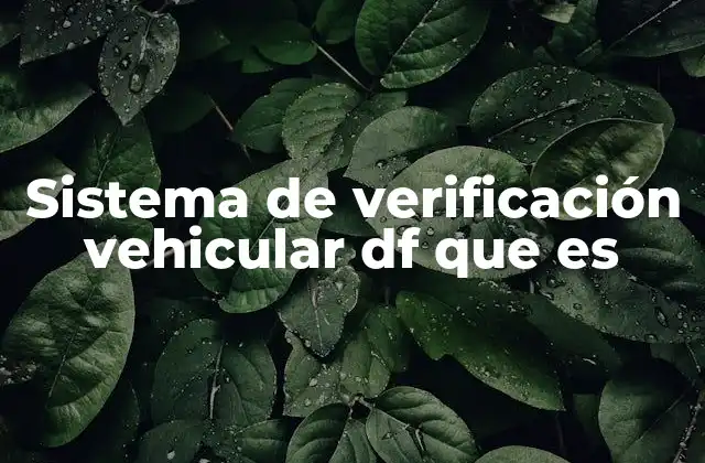 Sistema de Verificación Vehicular Df que es