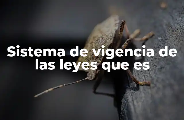 Sistema de Vigencia de las Leyes que es