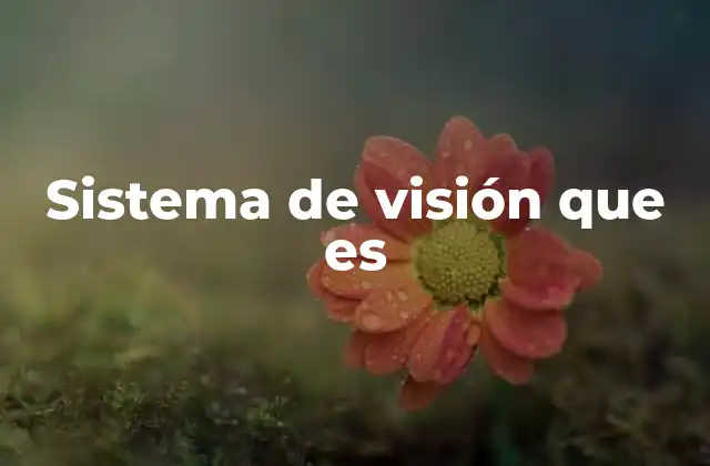 Sistema de Visión que es