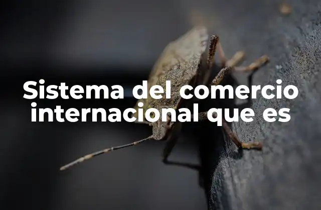 Sistema Del Comercio Internacional que es
