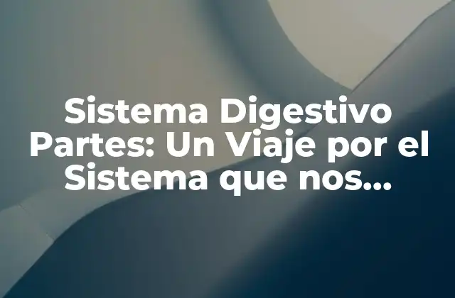 Sistema Digestivo Partes: un Viaje por el Sistema que Nos Mantiene Vivos