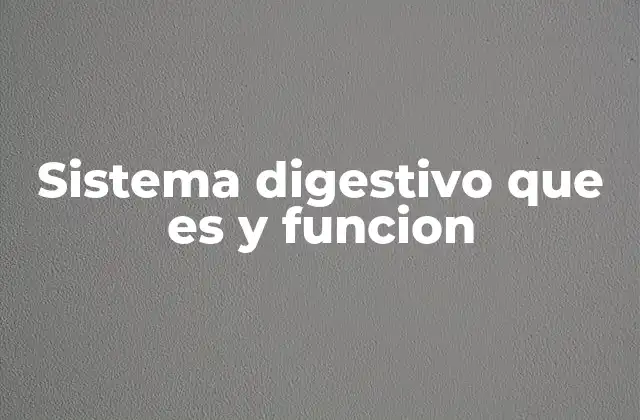 Sistema Digestivo que es y Funcion