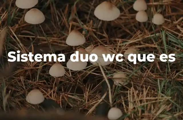 Sistema Duo Wc que es