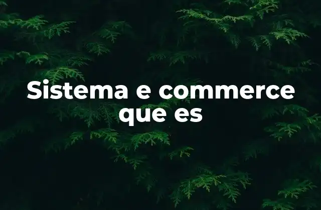 Sistema e Commerce que es