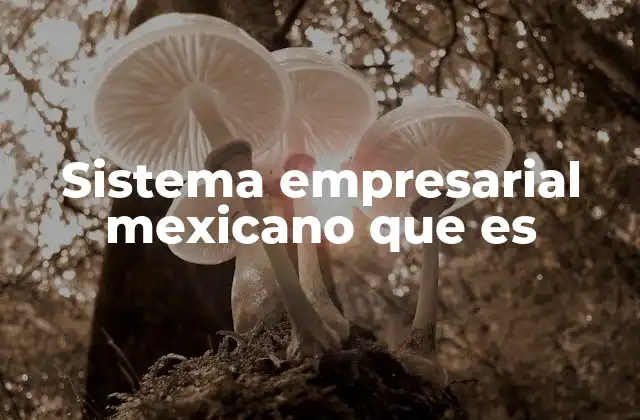 Sistema Empresarial Mexicano que es